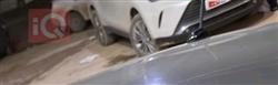 فورد فوكس